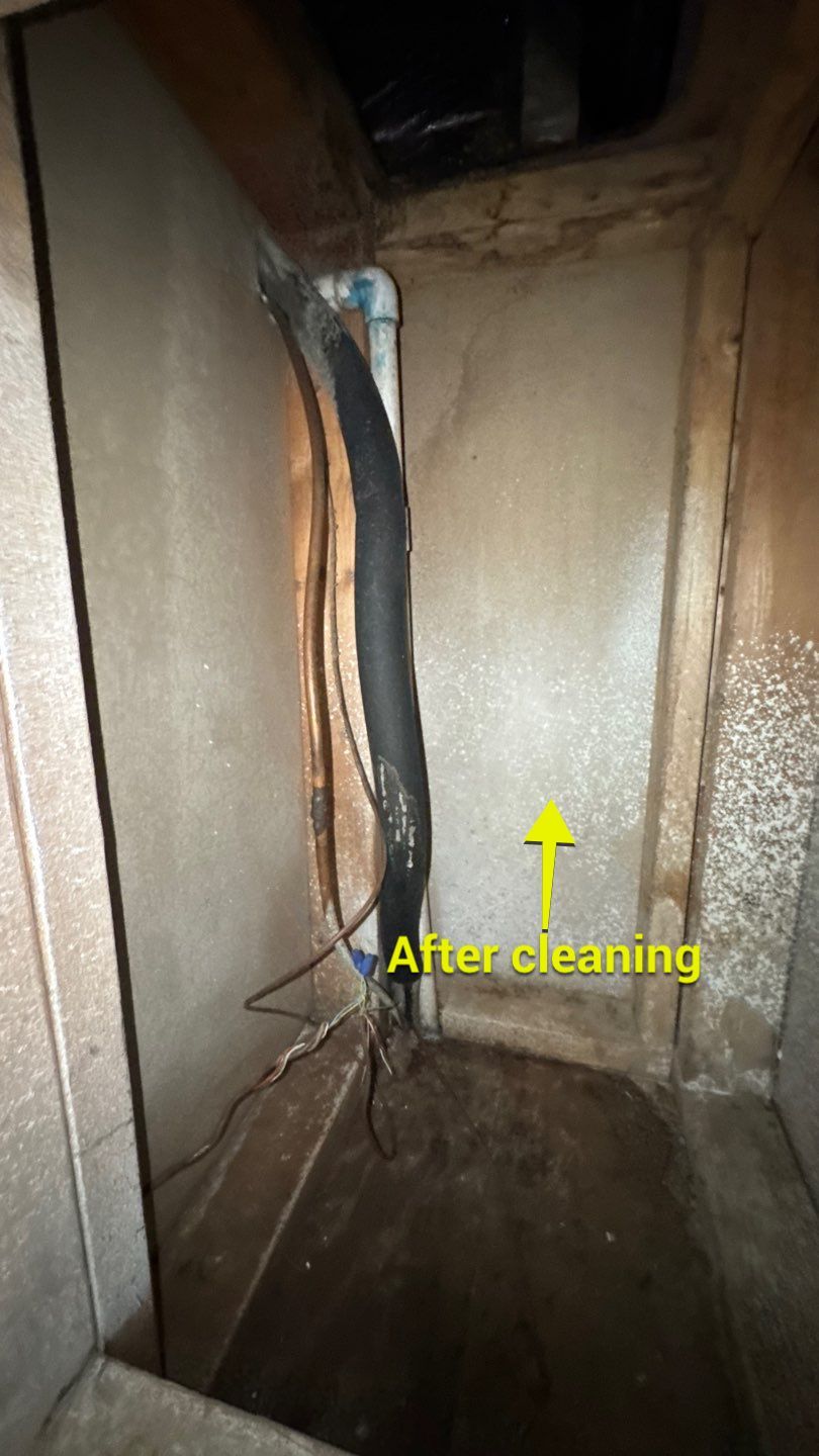 Extremely Dirty Air Duct Cleaning in Fruitland Park by Hygienic Air, Inc