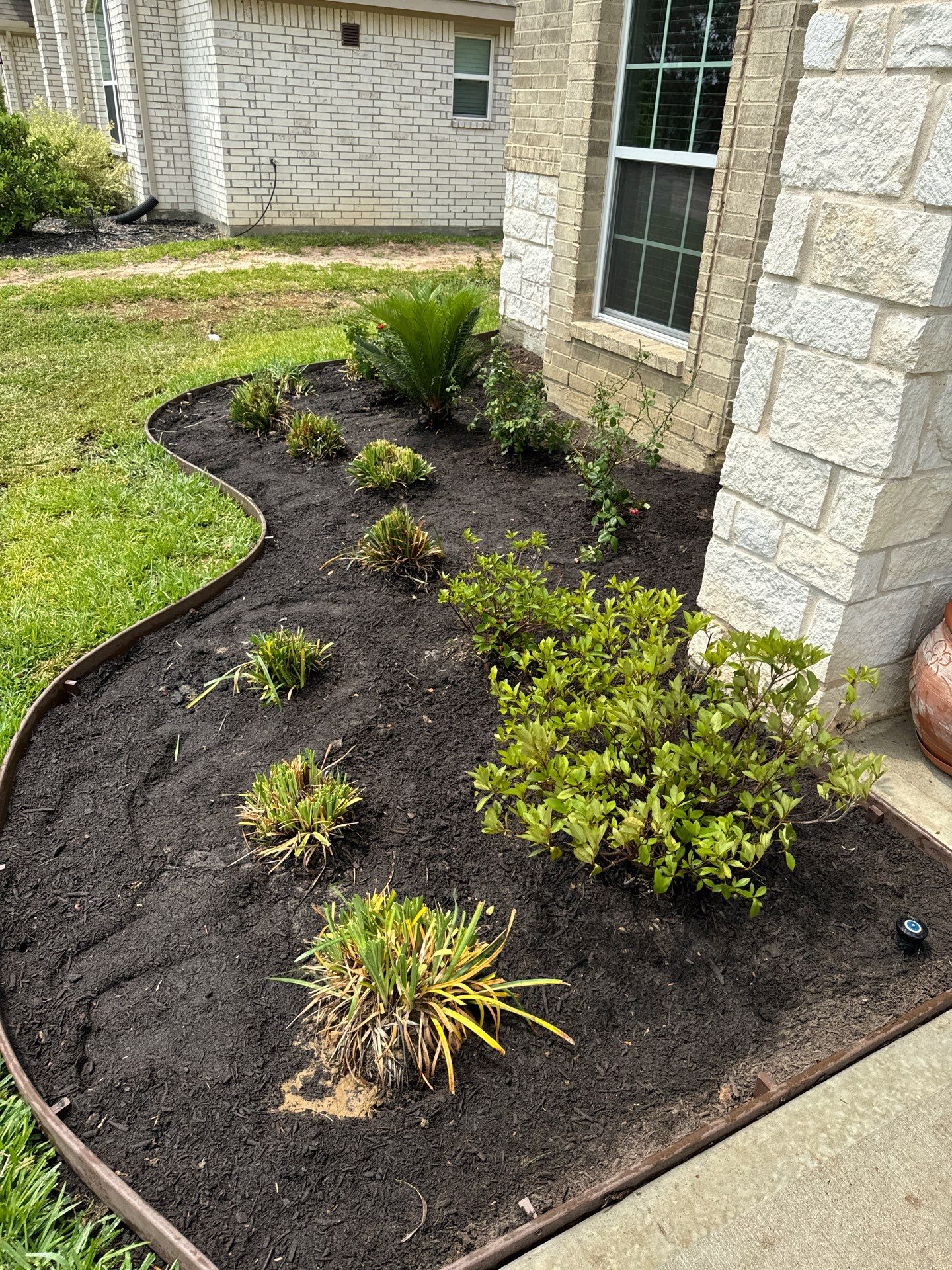 🌟 Mr. & Mrs. Wheeler’s Drainage & Landscape Transformation by Texas Urban Elements