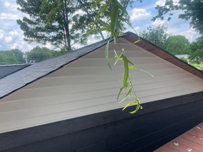 Siding Installation