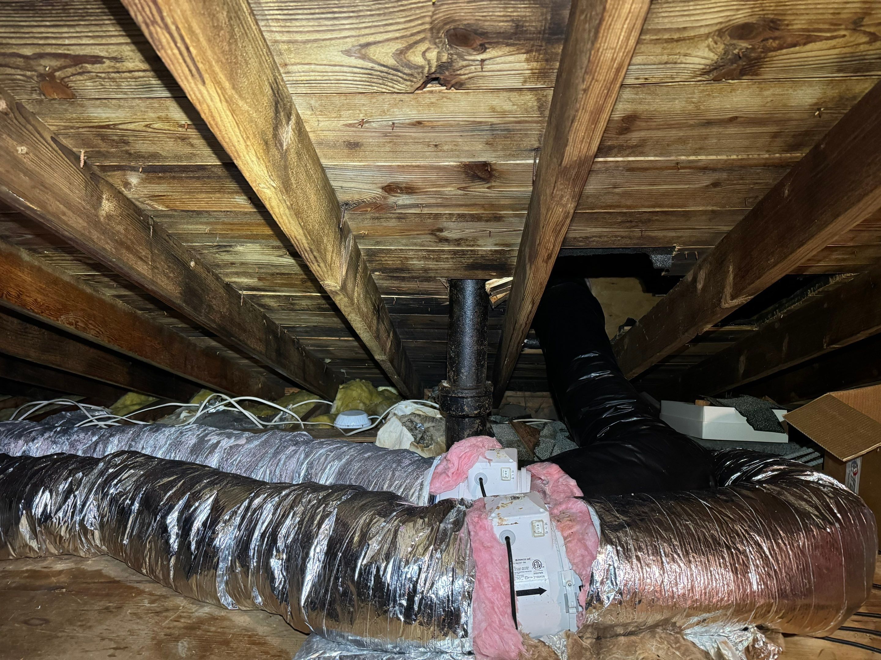 Attic & Sunroom Mold Remediation by Home Guarantee, LLC