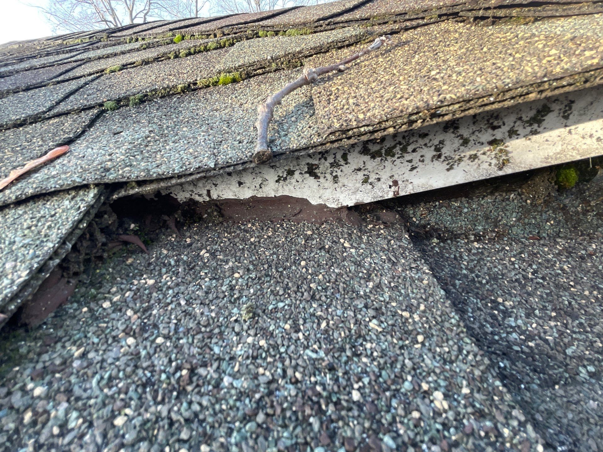 Roof Replacement using CertainTeed Landmark by 180 Contractors