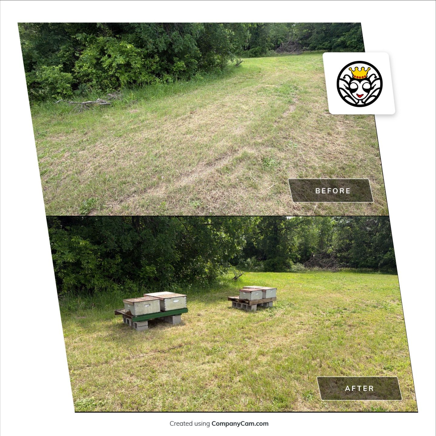 Ag. Exempt in Anna by Rockwall Honey Bee Company