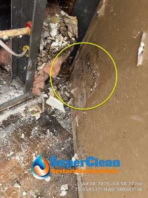 Professional Mold Remediation and Interior Water Damage Restoration in Wellington