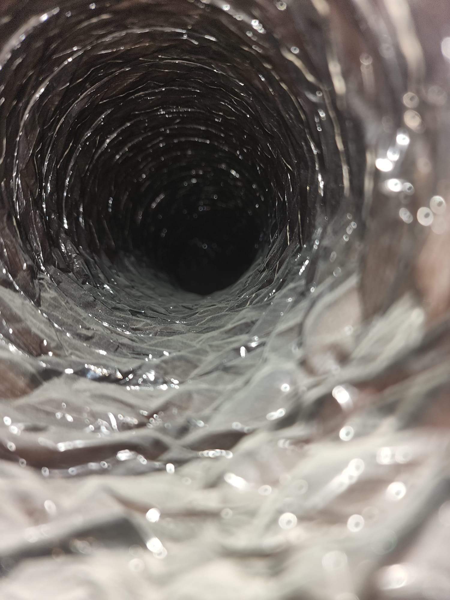 Holmes Beach AC Mold Deep Cleaning by Ampm Restoration Services 
