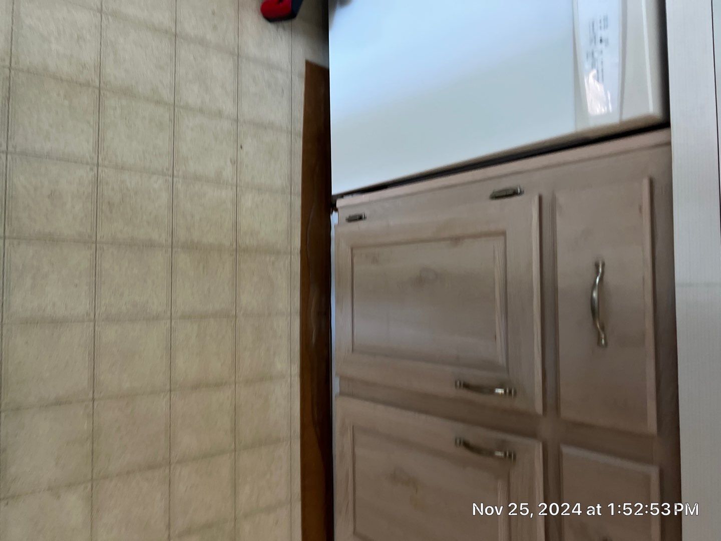 Mold Remediation Palmetto by Ampm Restoration Services 