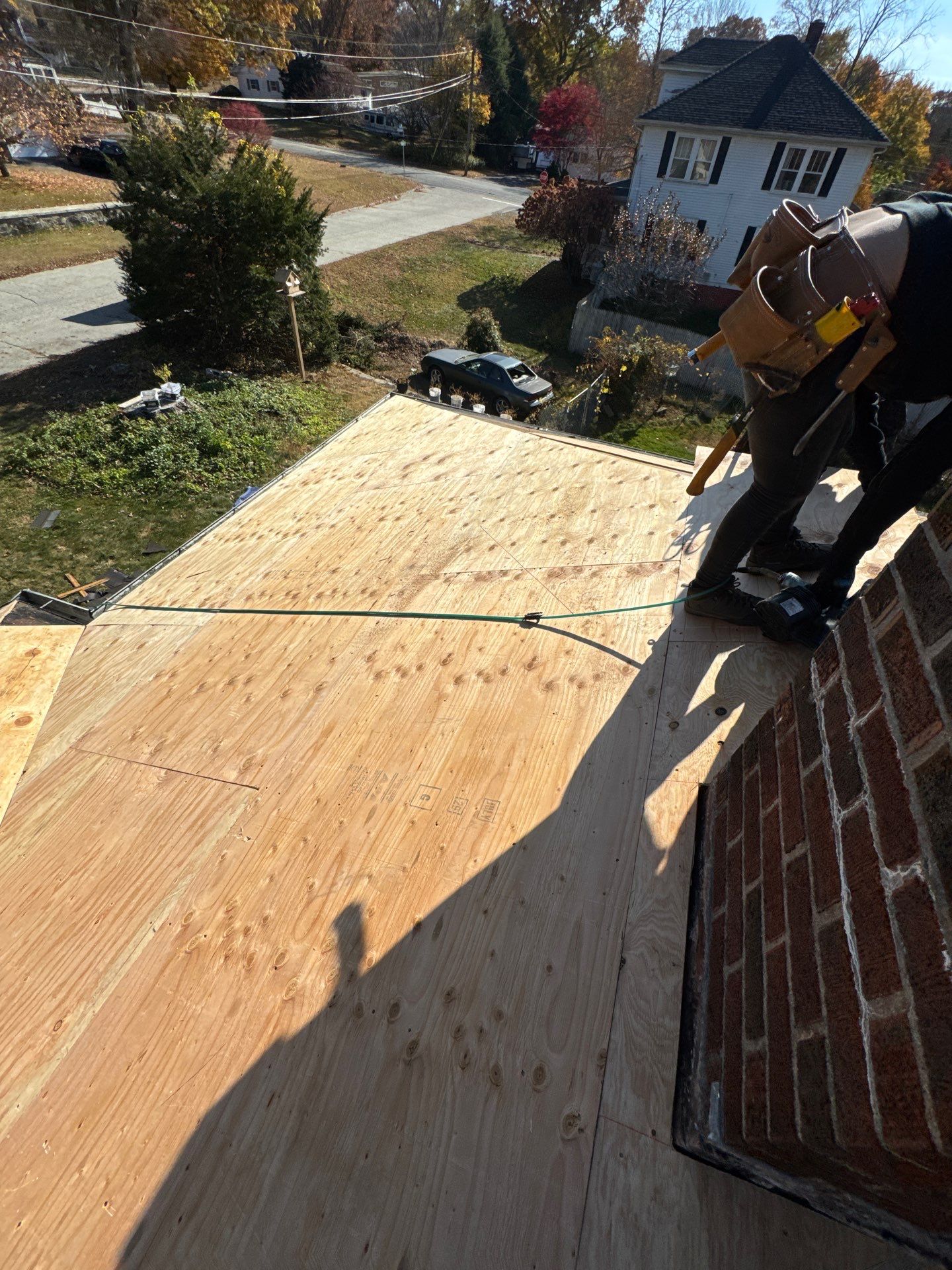 Silver Birch Shingles by Reimagine Roofing