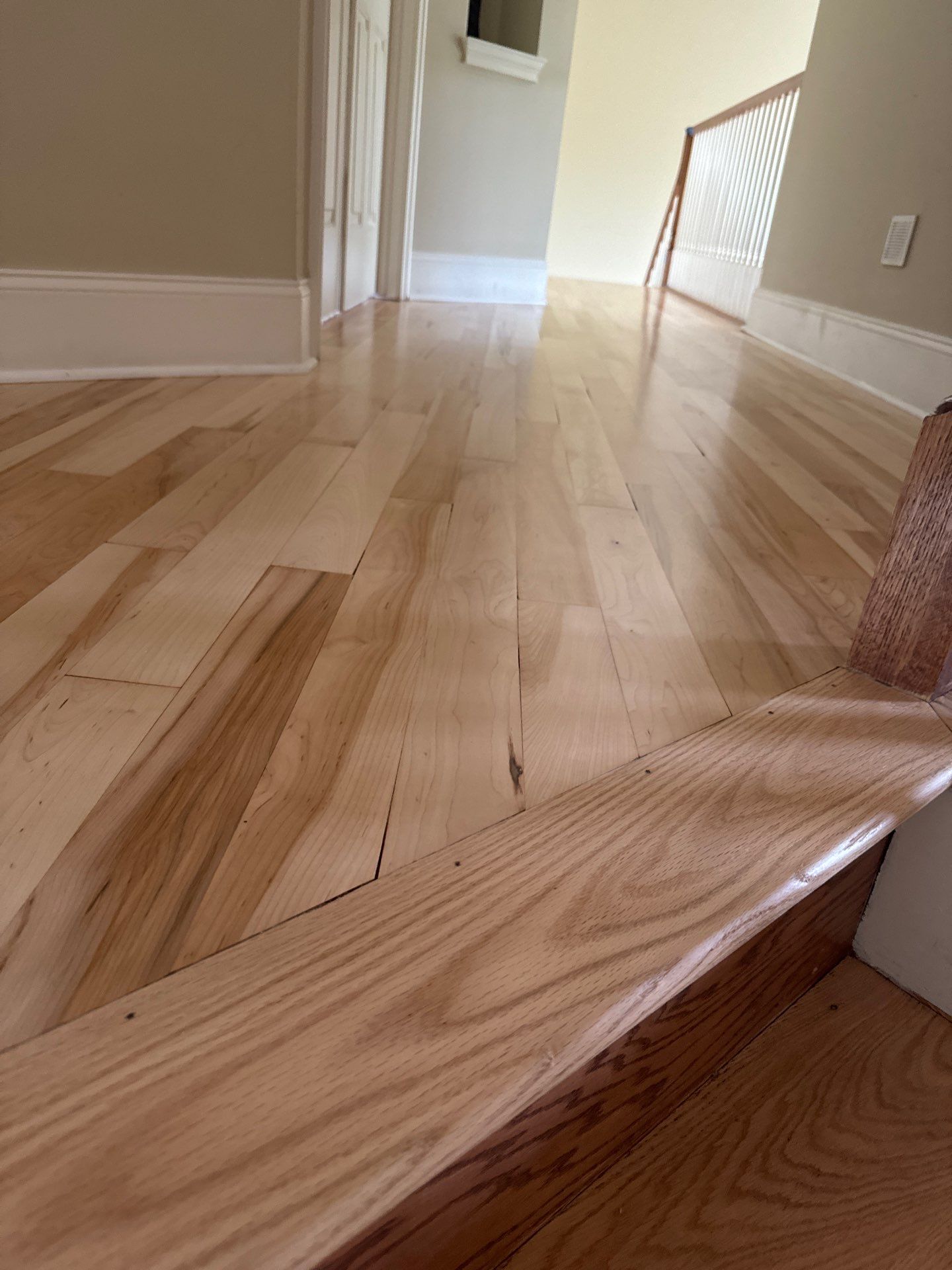 Prefinished Maple transformation by Ann Arbor Hardwoods 