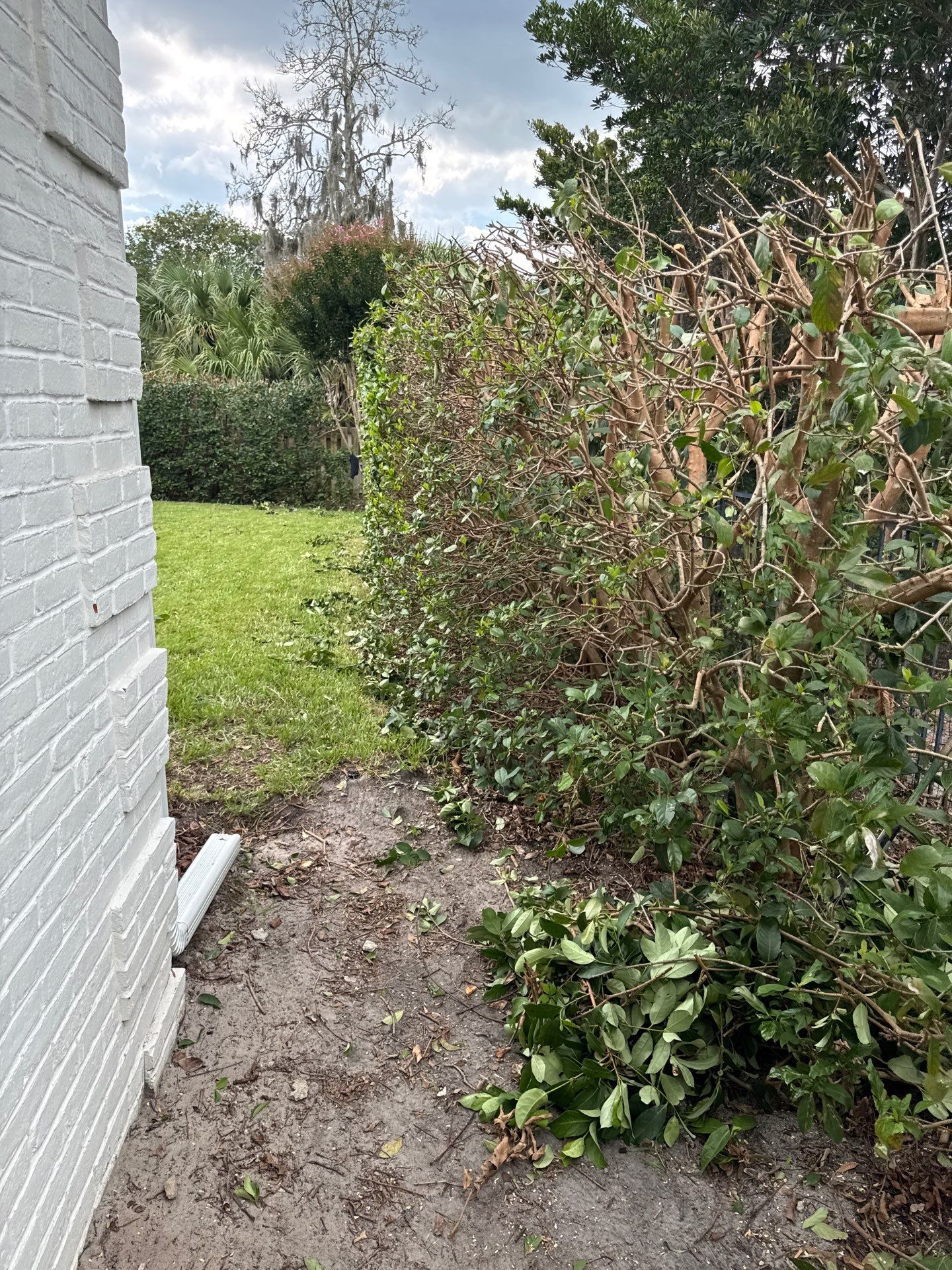 Deerwood Resident | Shrub Trimming by ProGreen Services