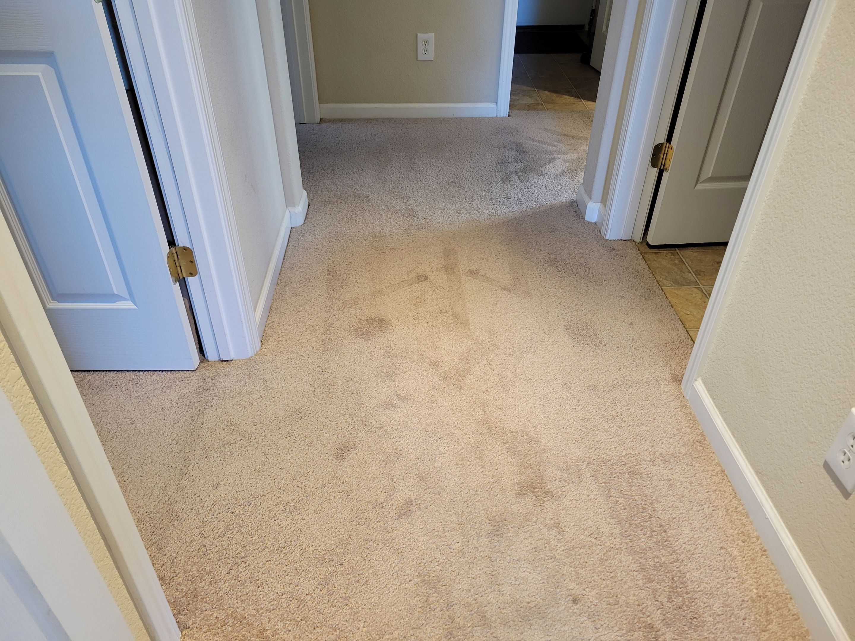 Carpet Re-stretching and Corrective Repair by Ardent Carpet Restore LLC