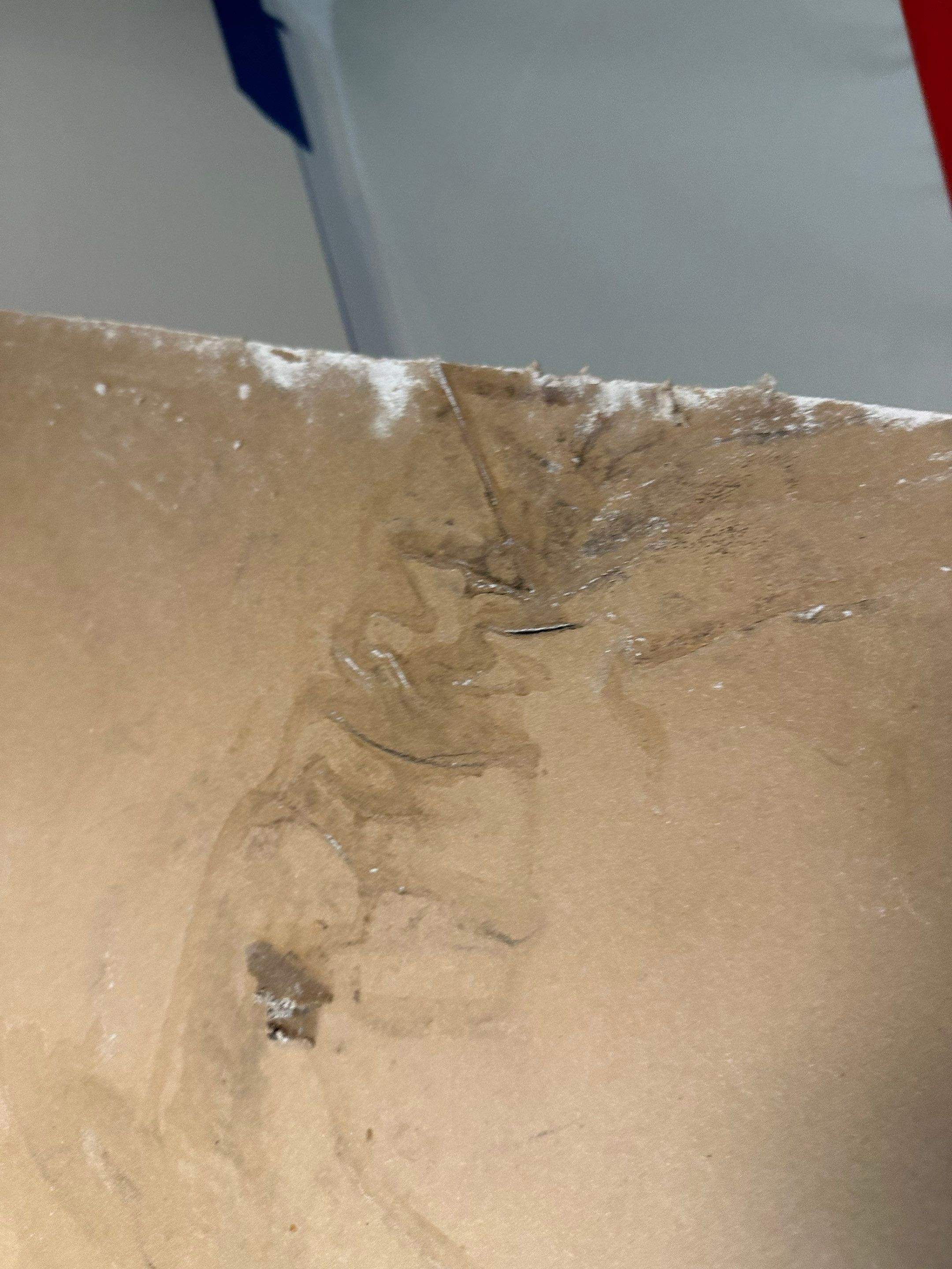 Water Damage in Denver, CO by Alpha Restoration 