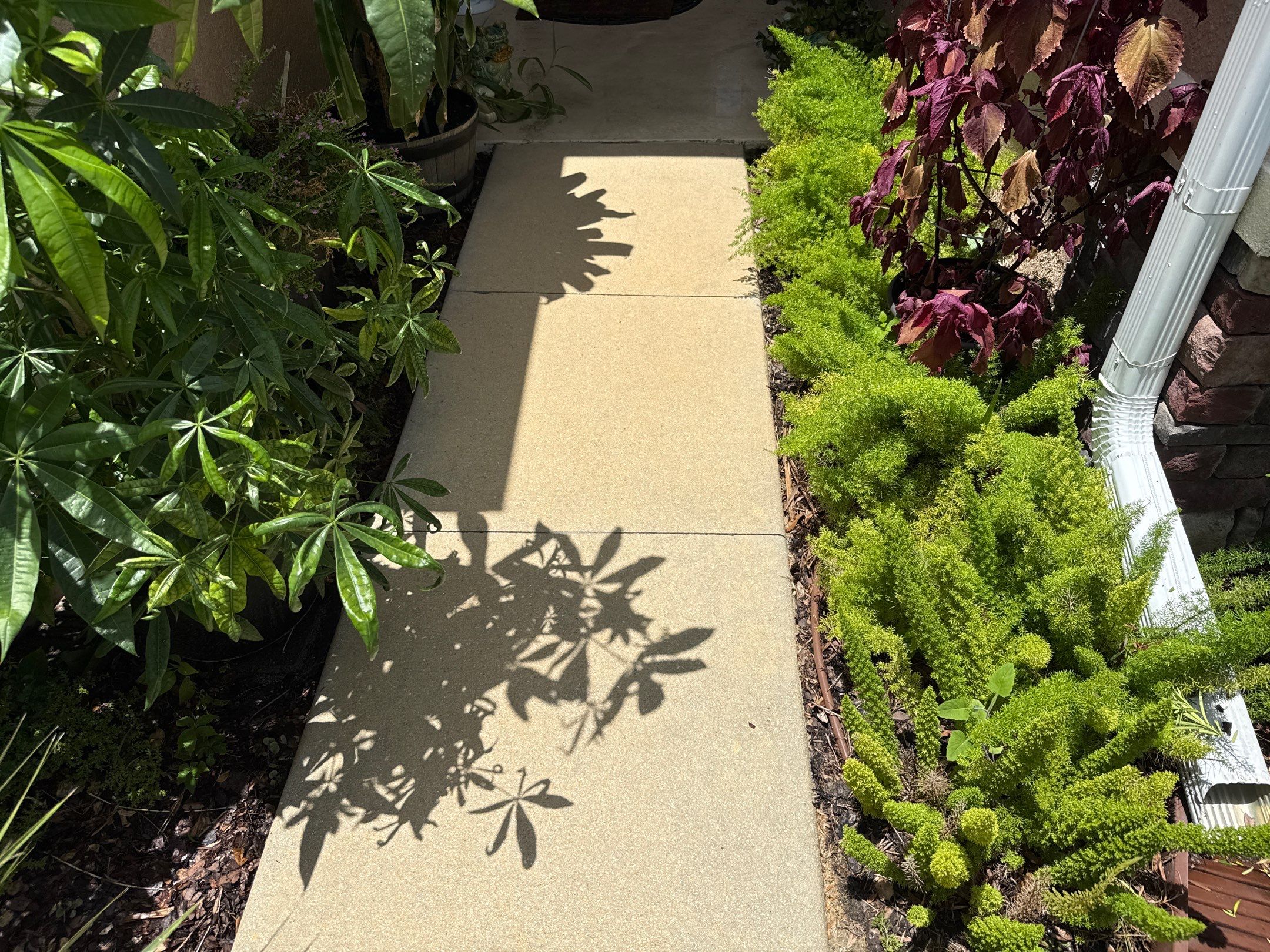Concrete Driveway Cleaning – Covered Bridge Estates, Ellenton, FL by Sunshine AquaWash