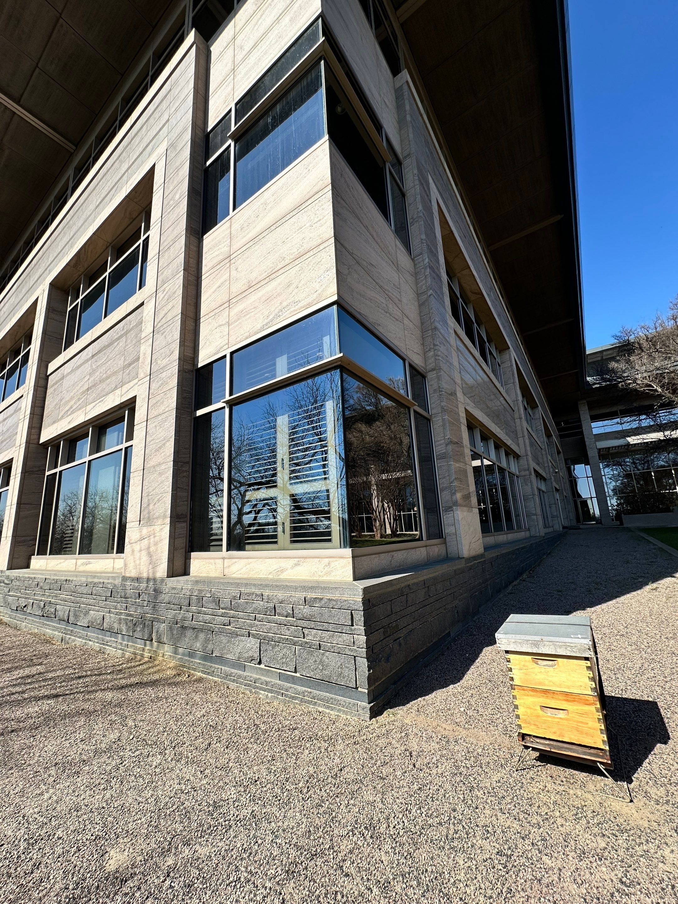 Offices in Irving with Bountiful Honey Bees by Rockwall Honey Bee Company