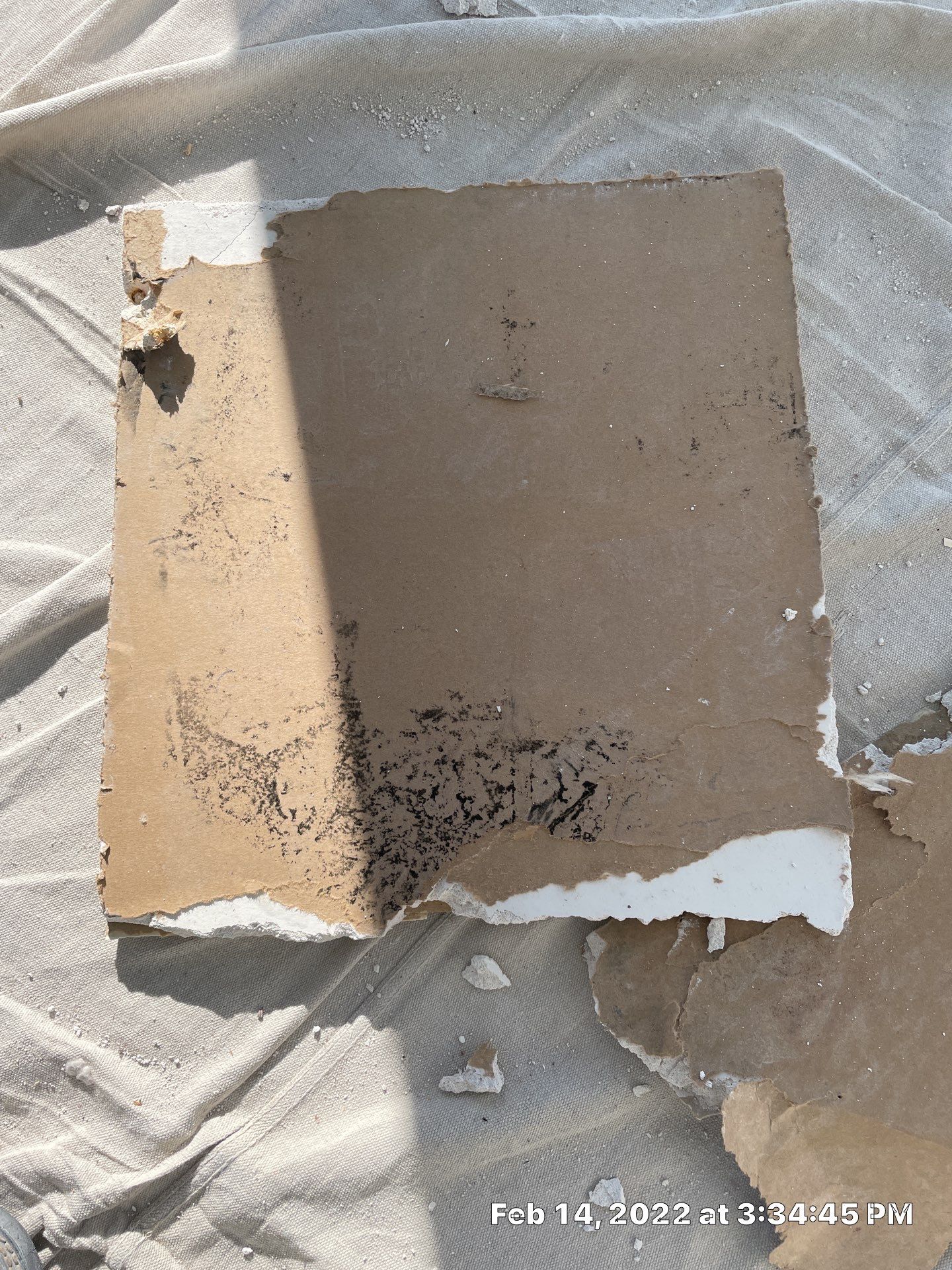 Luxury Home - Owners find termites and need interior selective demo, prior to repairs. by EAS Environmental, LLC.