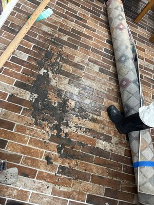 Raw Sewage / Biohazard Cleanup in Hamden