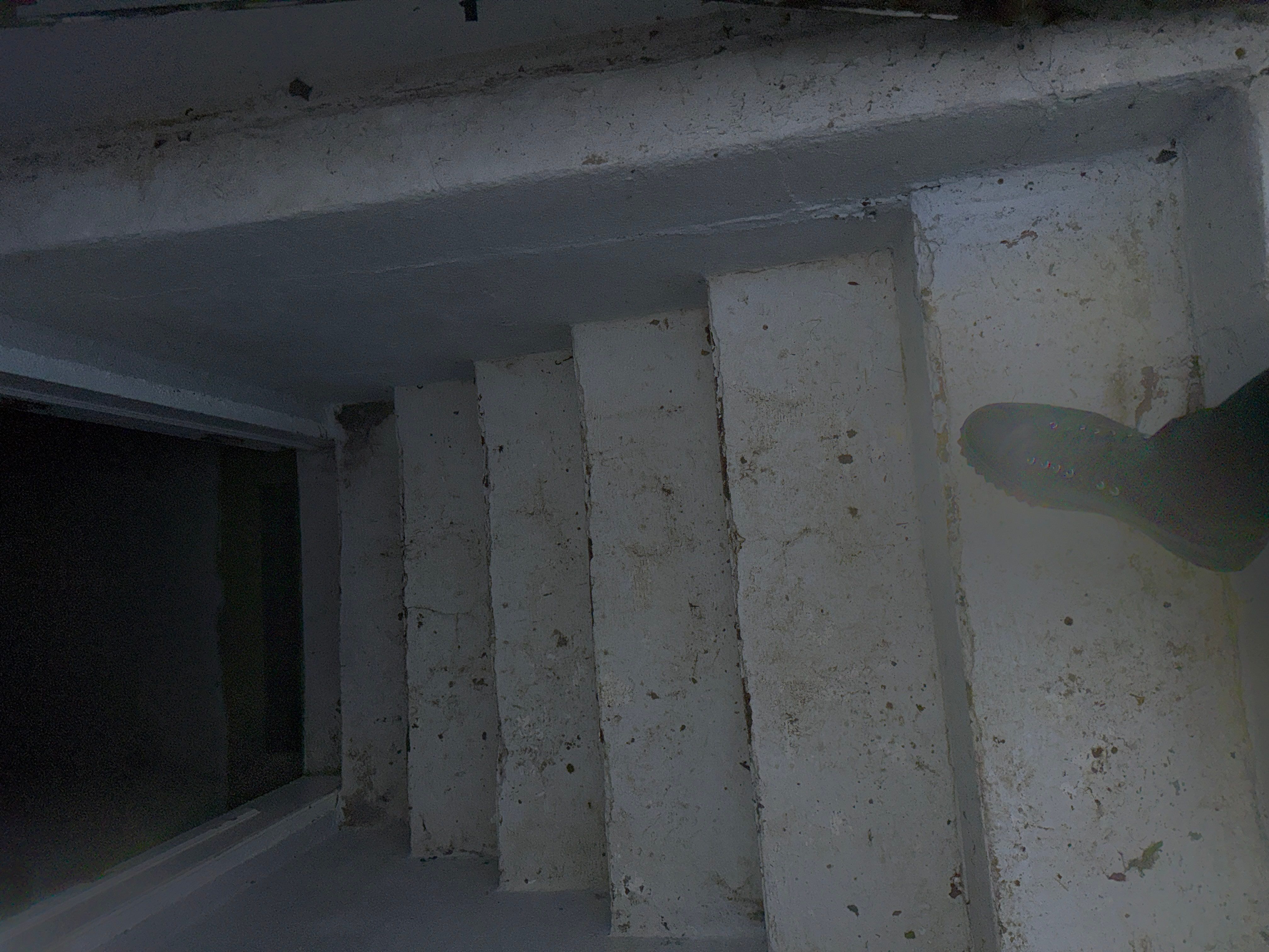 Interior French Drain Boonton NJ by Pure Service Pro, LLC 