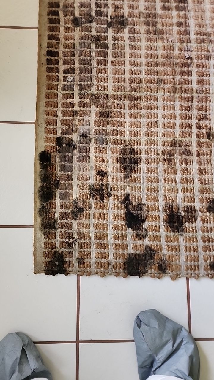 Damage caused from leaking water hea  er by Building performance Solutions LLC