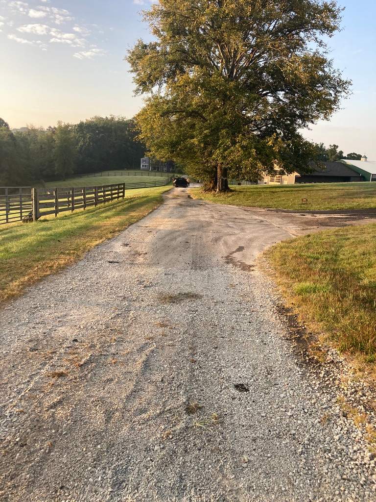 Personal and Commercial Lanes by Brant's Asphalt