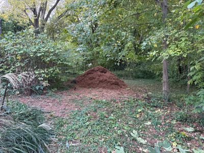 Project in Charlotte