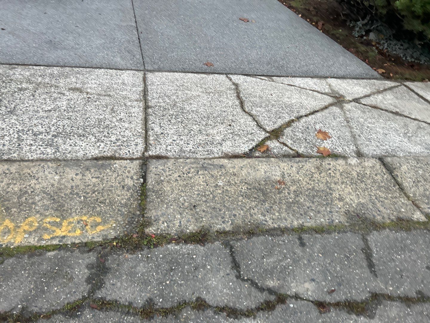 Laurie | Concrete Stairs  by Jireh Asphalt & Concrete Inc 