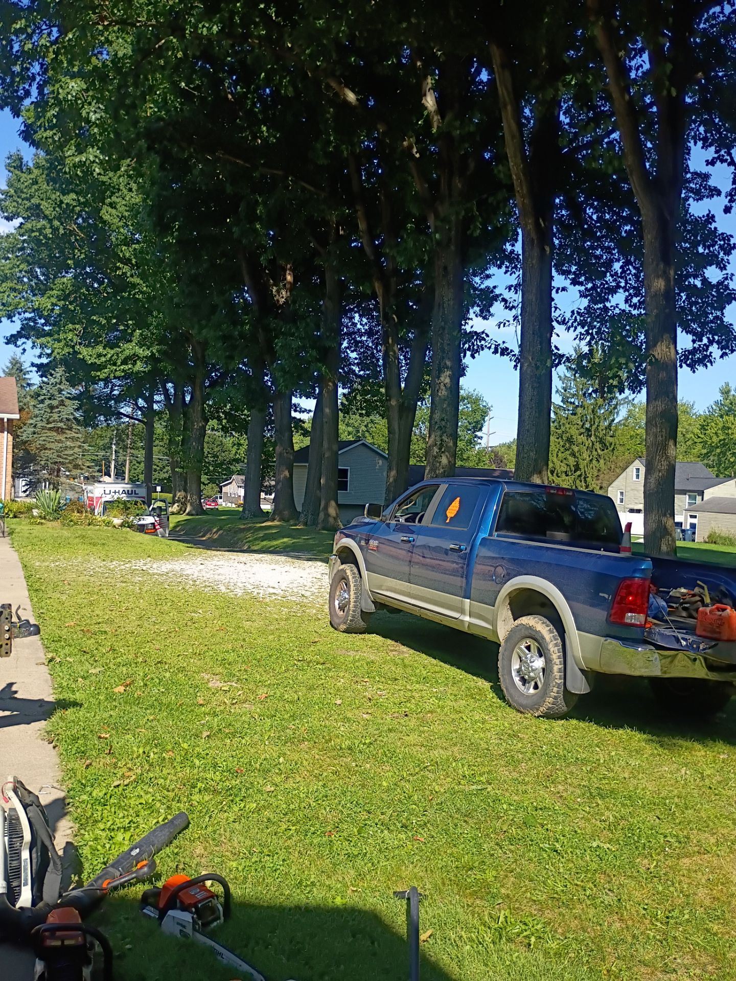 Tree Trimming & Tree Removal in Akron Ohio by Mike Jones & Sons Tree Service LLC 