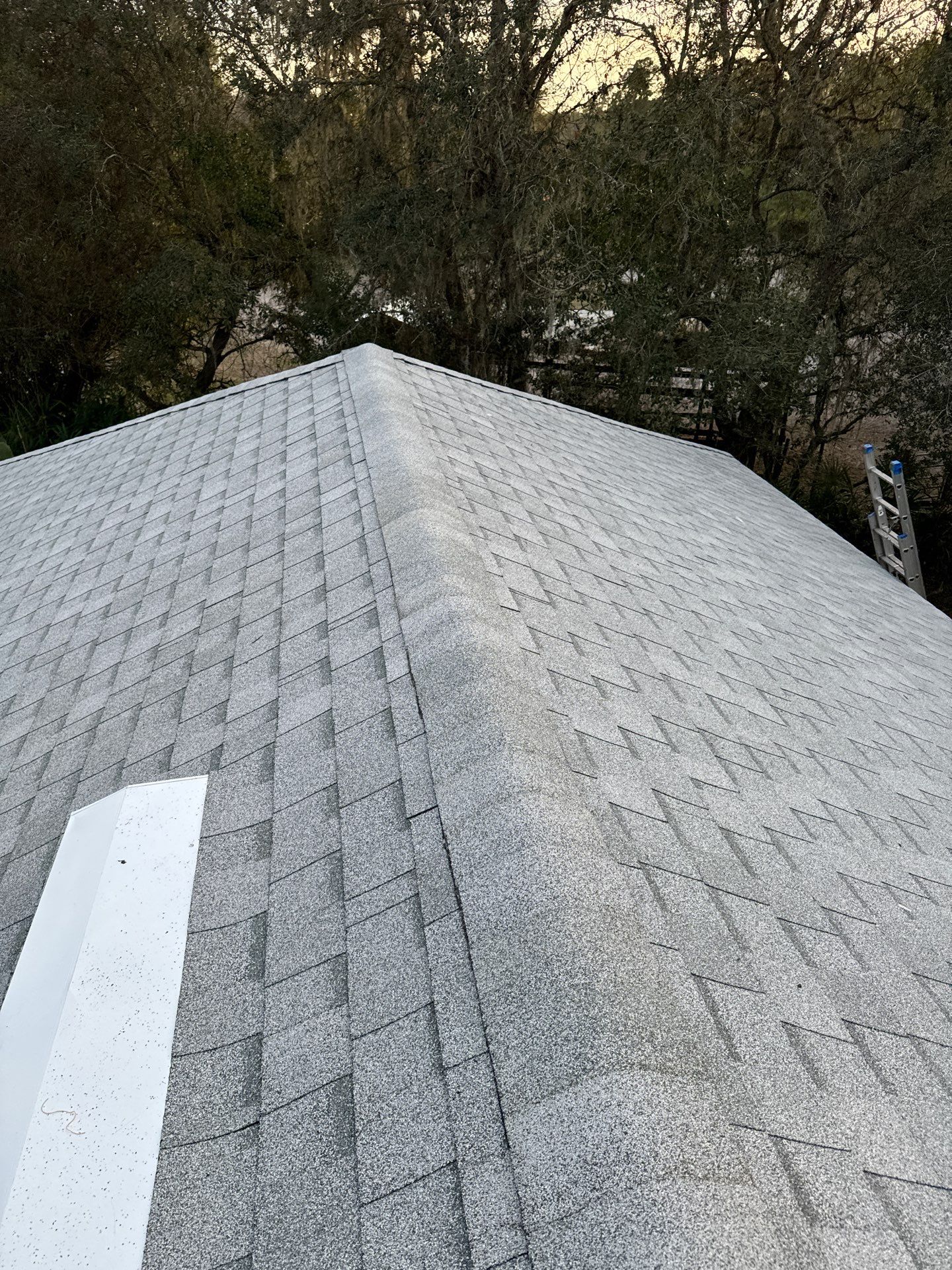 Shingle Reroof Replacement Pierson FL by Pinnacle Roofing Group
