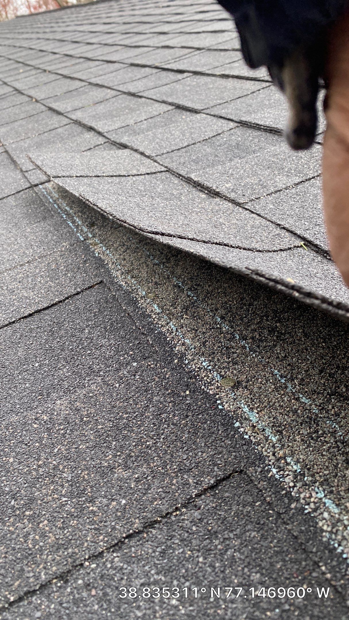 Alexandria CertainTeed Landmark Pro Roof in Max Def Charcoal Black by RM Banning, Inc.