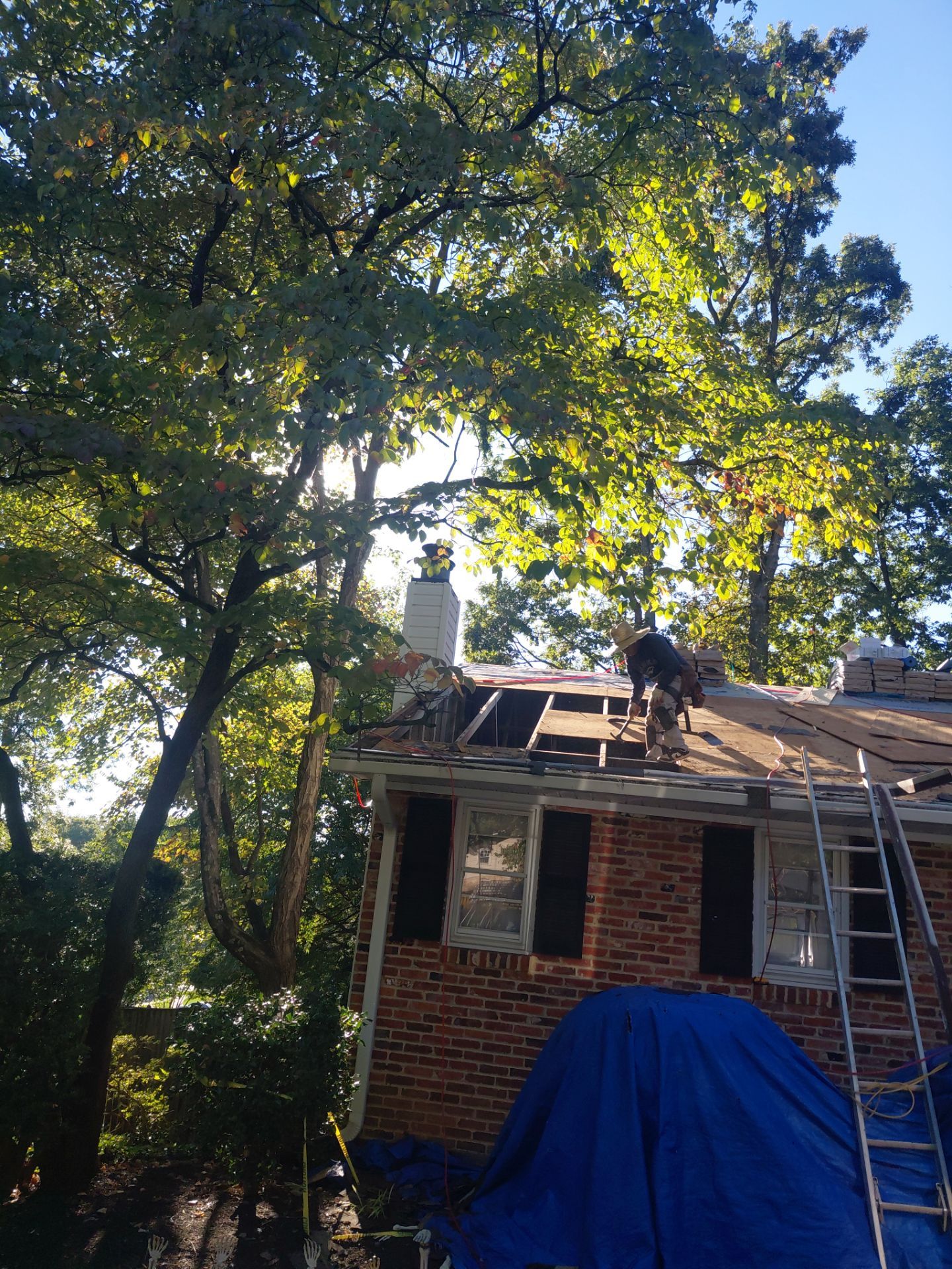 Falls Church: Residential Roof Replacement with CertainTeed Landmark in Moire Black  by RM Banning, Inc.