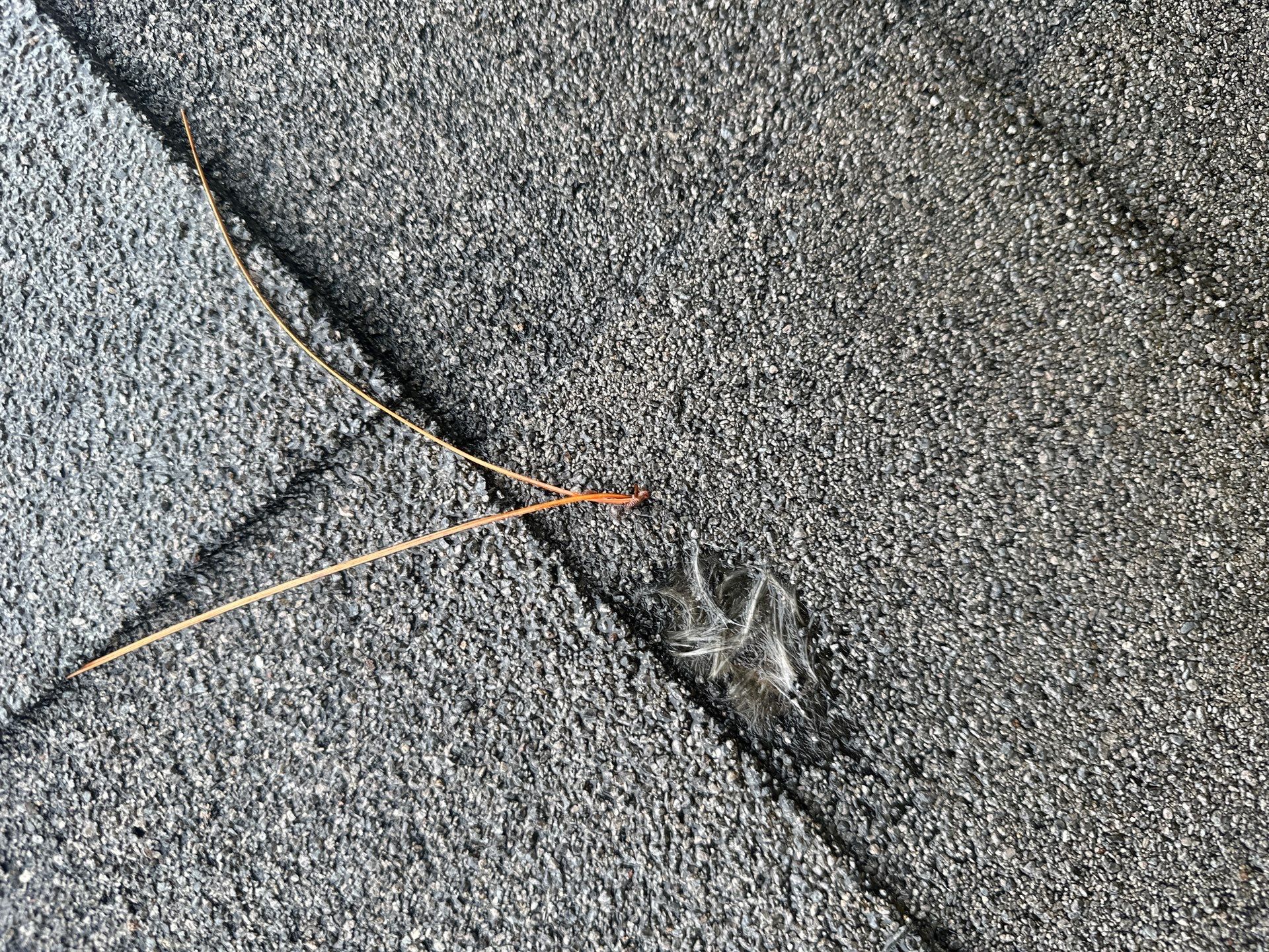 Hail Damage using Owen's Corning Duration (Lifetime) Shingles by Roof Repair Company