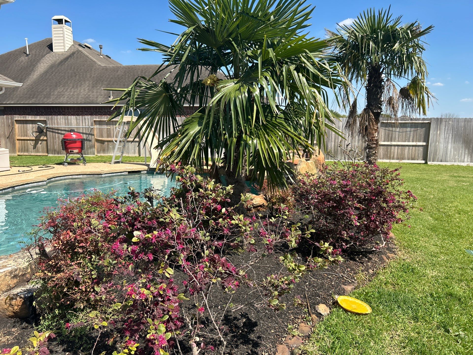 🌿 Larry Caudillo’s Poolside Landscape Revamp by Texas Urban Elements