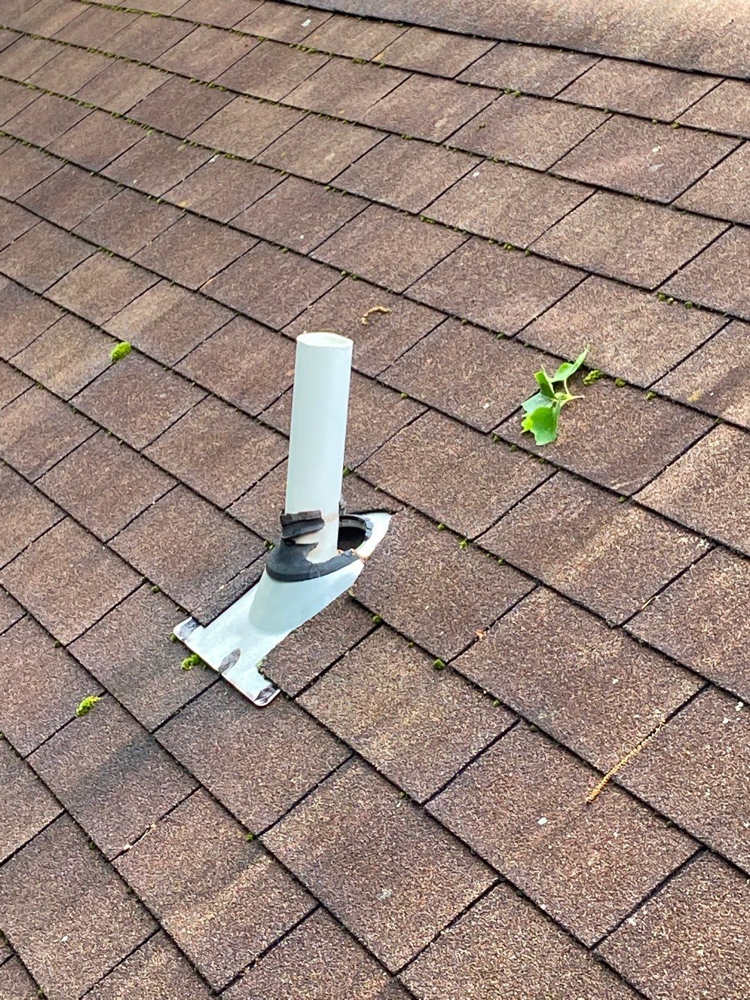 Arlington: CertainTeed Landmark Pro Designer Shingles in Max Def Shenandoah by RM Banning, Inc.