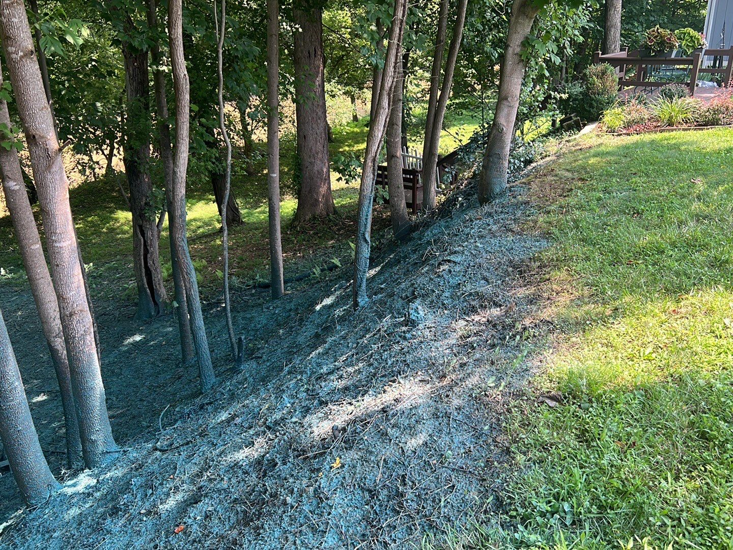 Gain unused yard space by GrassBusters, Inc.
