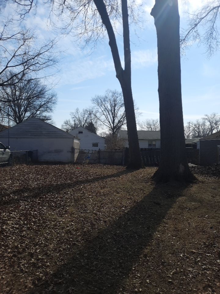 Tree Trimming using Tree Pruing by Mike Jones & Sons Tree Service LLC 