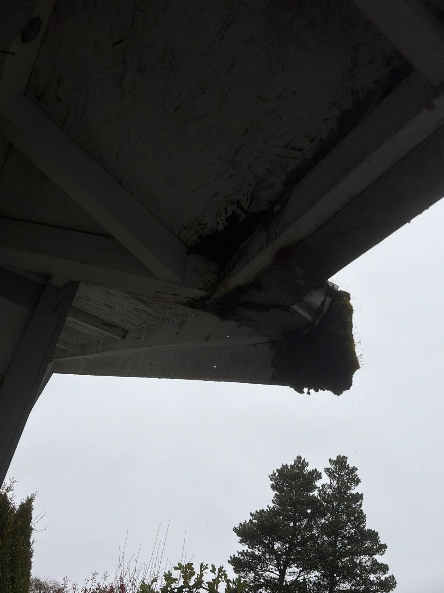 Roof in Lake Stevens by Peaks and Valleys Construction