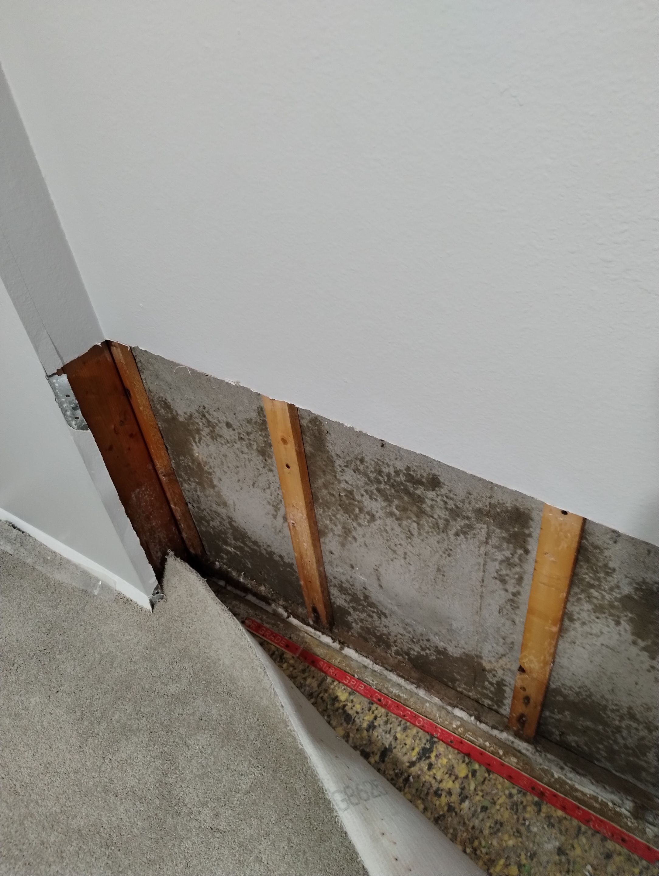 Mold Damage Repairs by Accountable Home Services