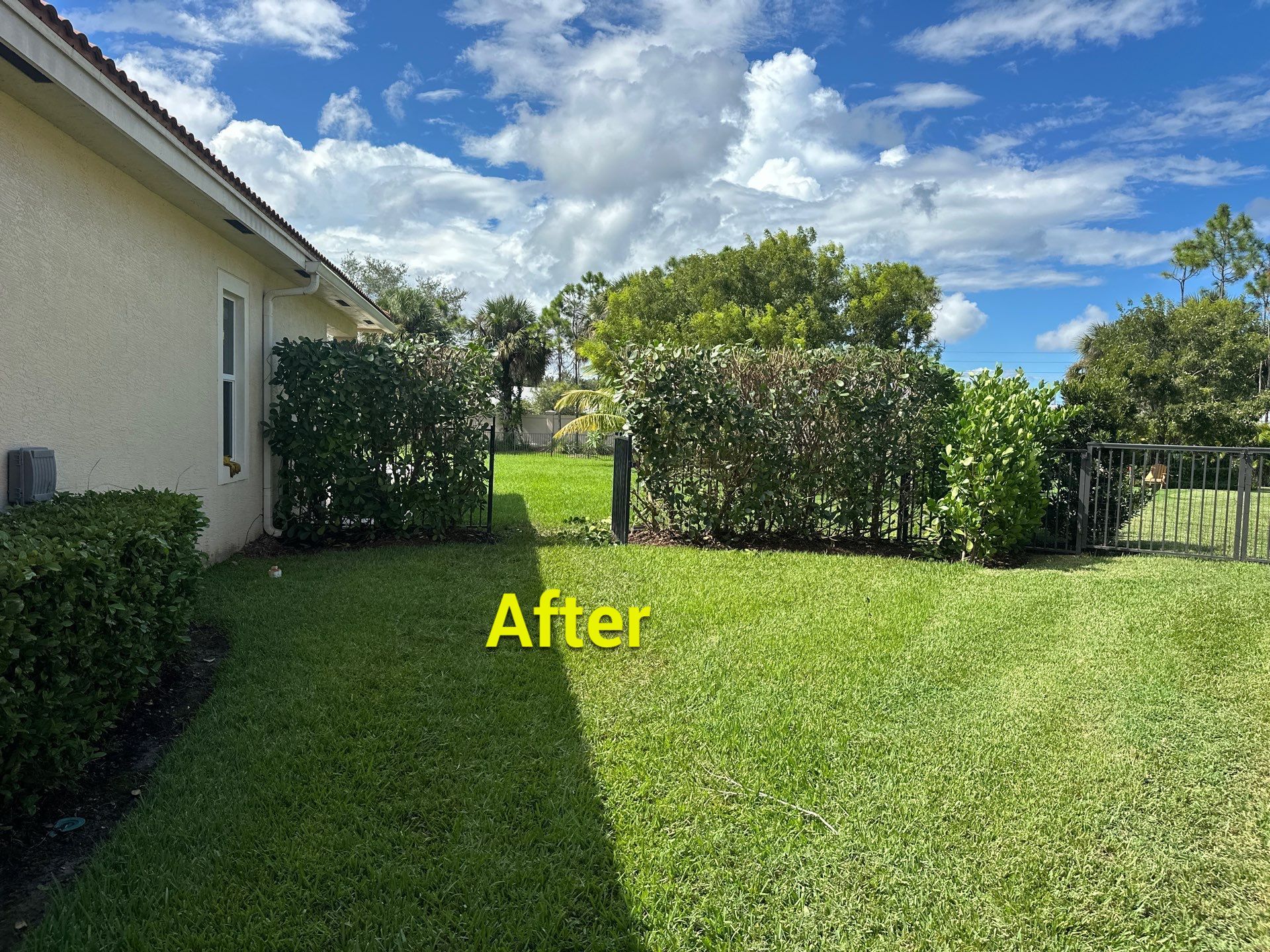 From Overgrown to Picture-Perfect - Stuart Refresh by Alpha Zeta Enterprises Inc