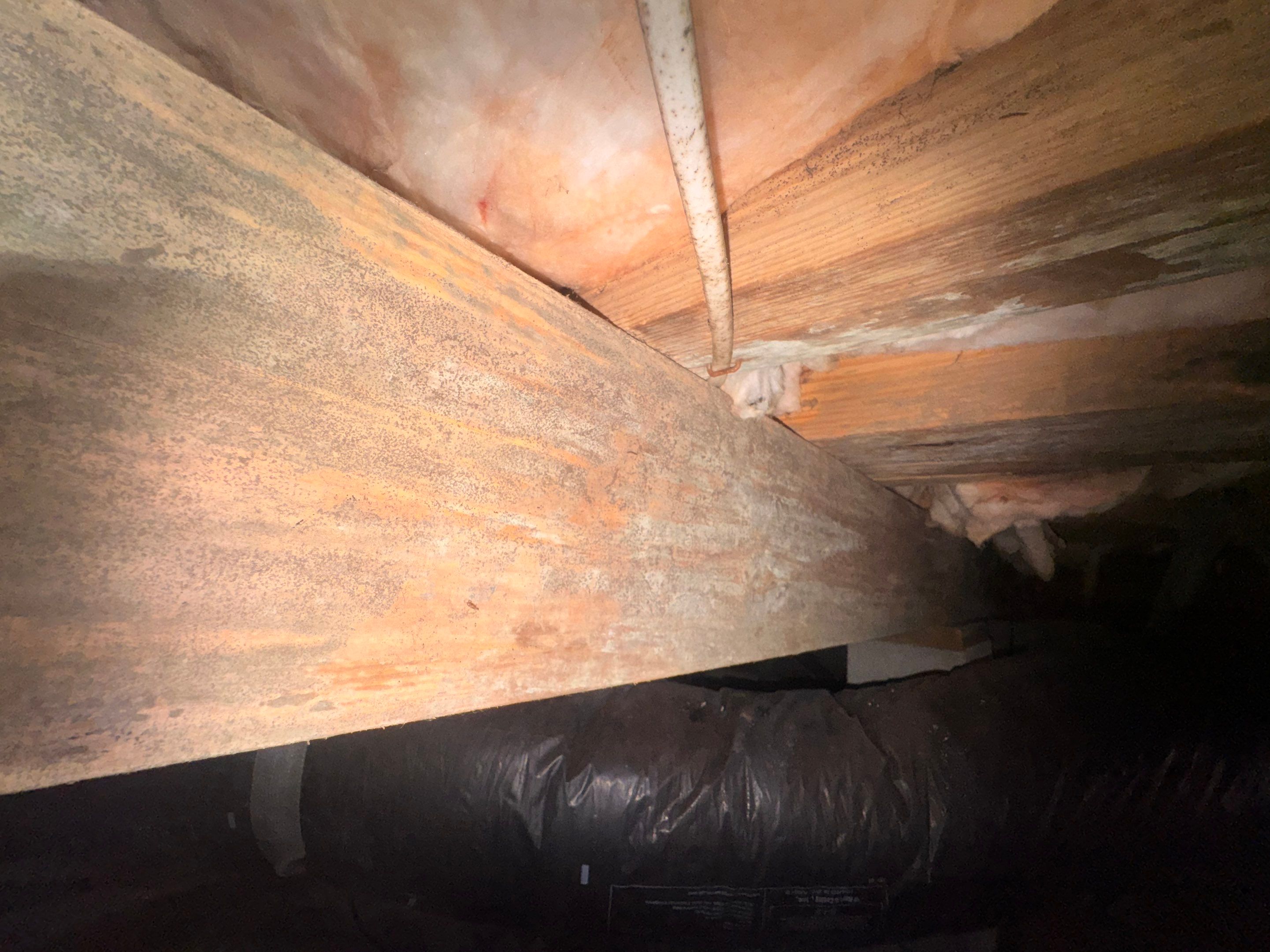 Moisture Barrier, Mold Clean, Structural Repair, Dehumidifier, R19 Insulation. by Impact Crawlspace