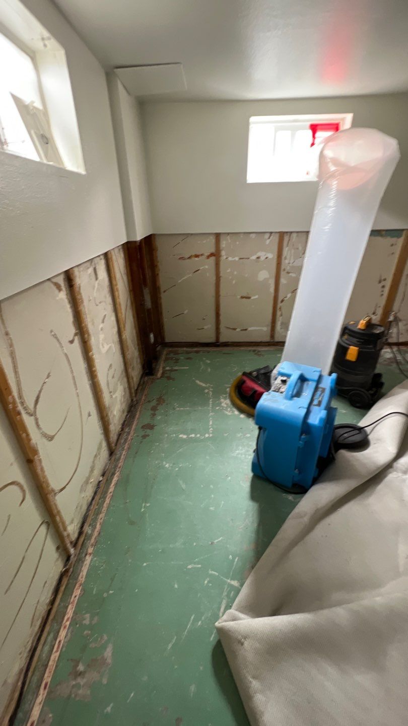 Mold Remediation by Accountable Home Services