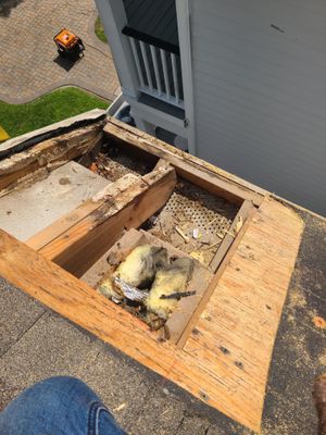Residential Roofing Repair using Owen's Corning Duration (Lifetime) Shingles