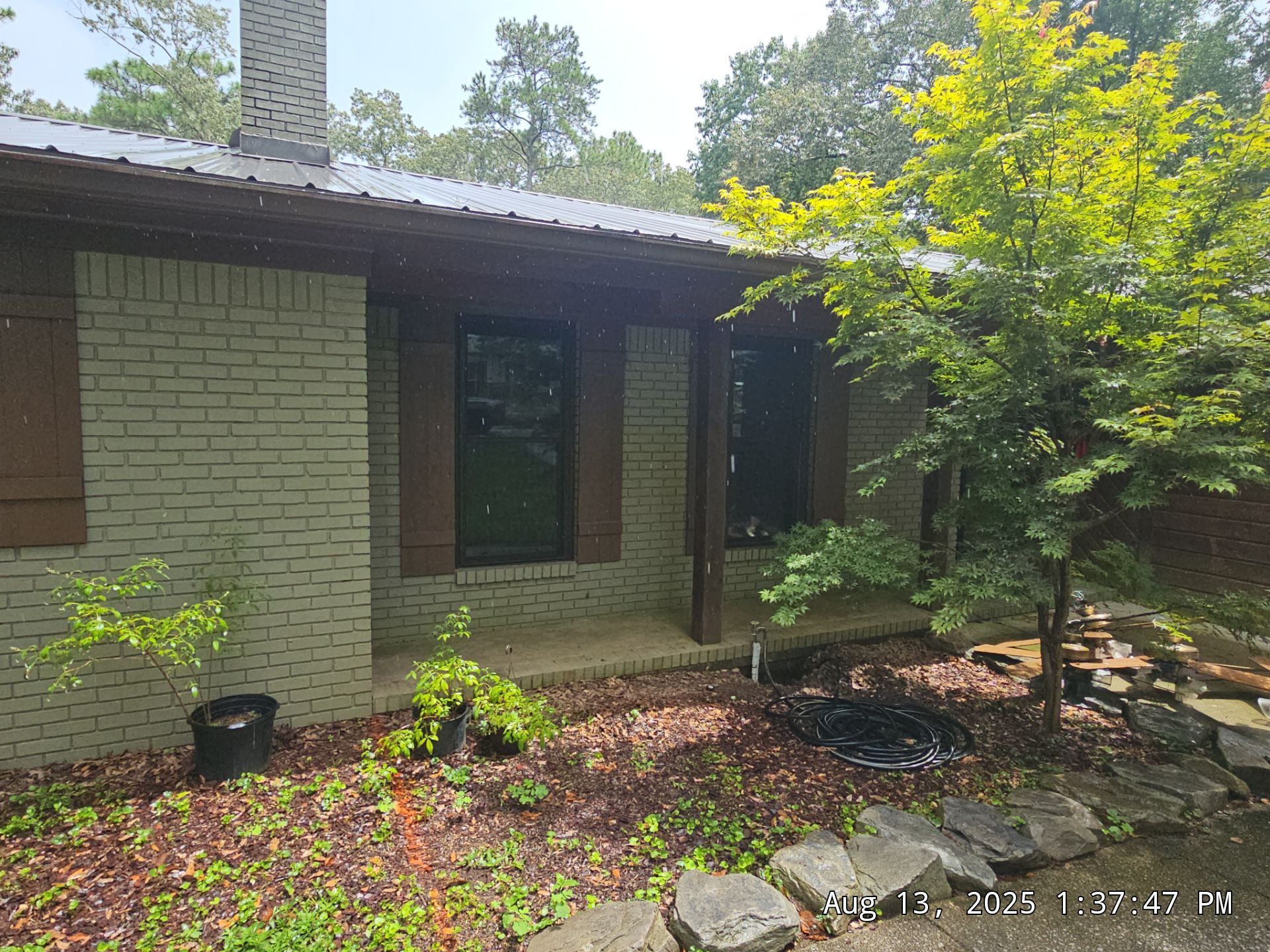 Reed Project in Chelsea by The Window Source