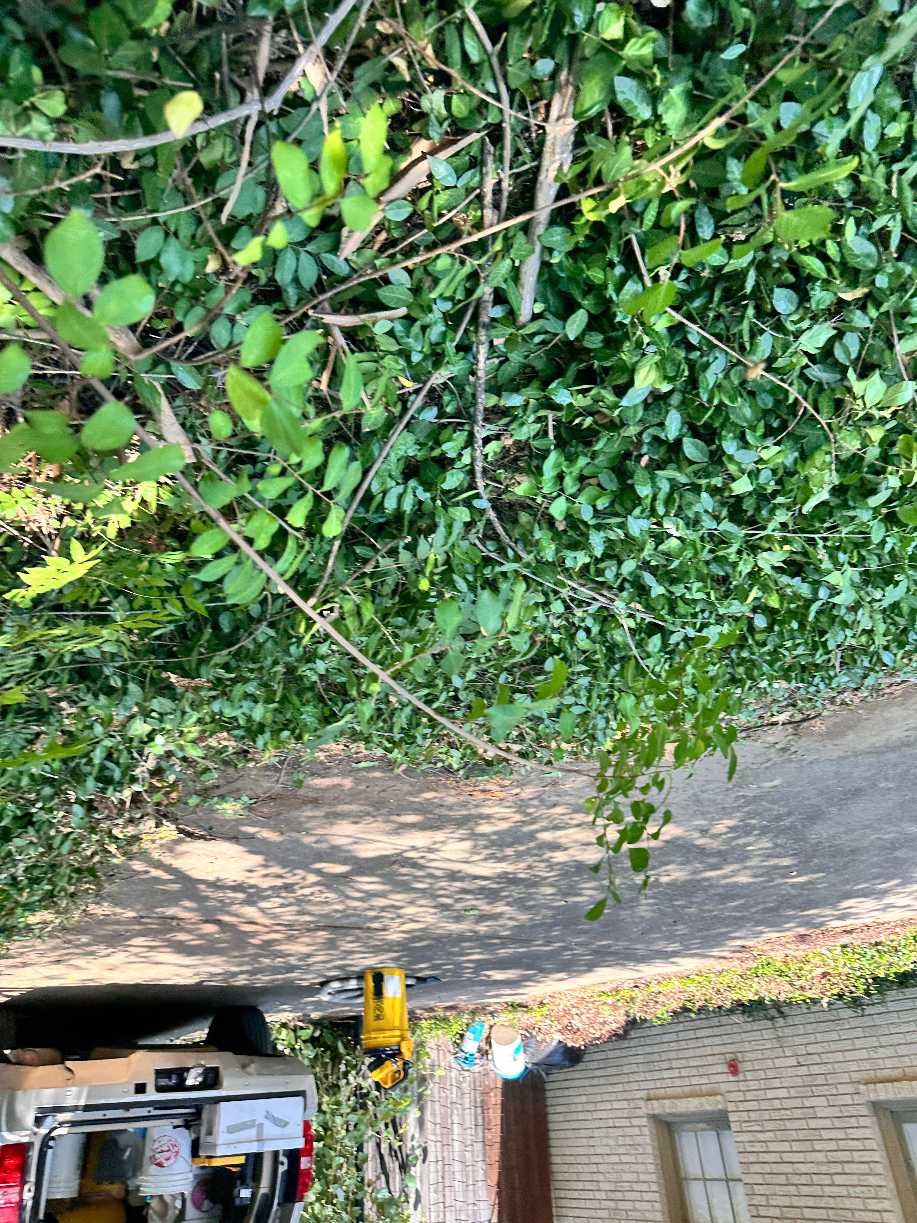 Pot-in-a-Pot by Rockwall Honey Bee Company