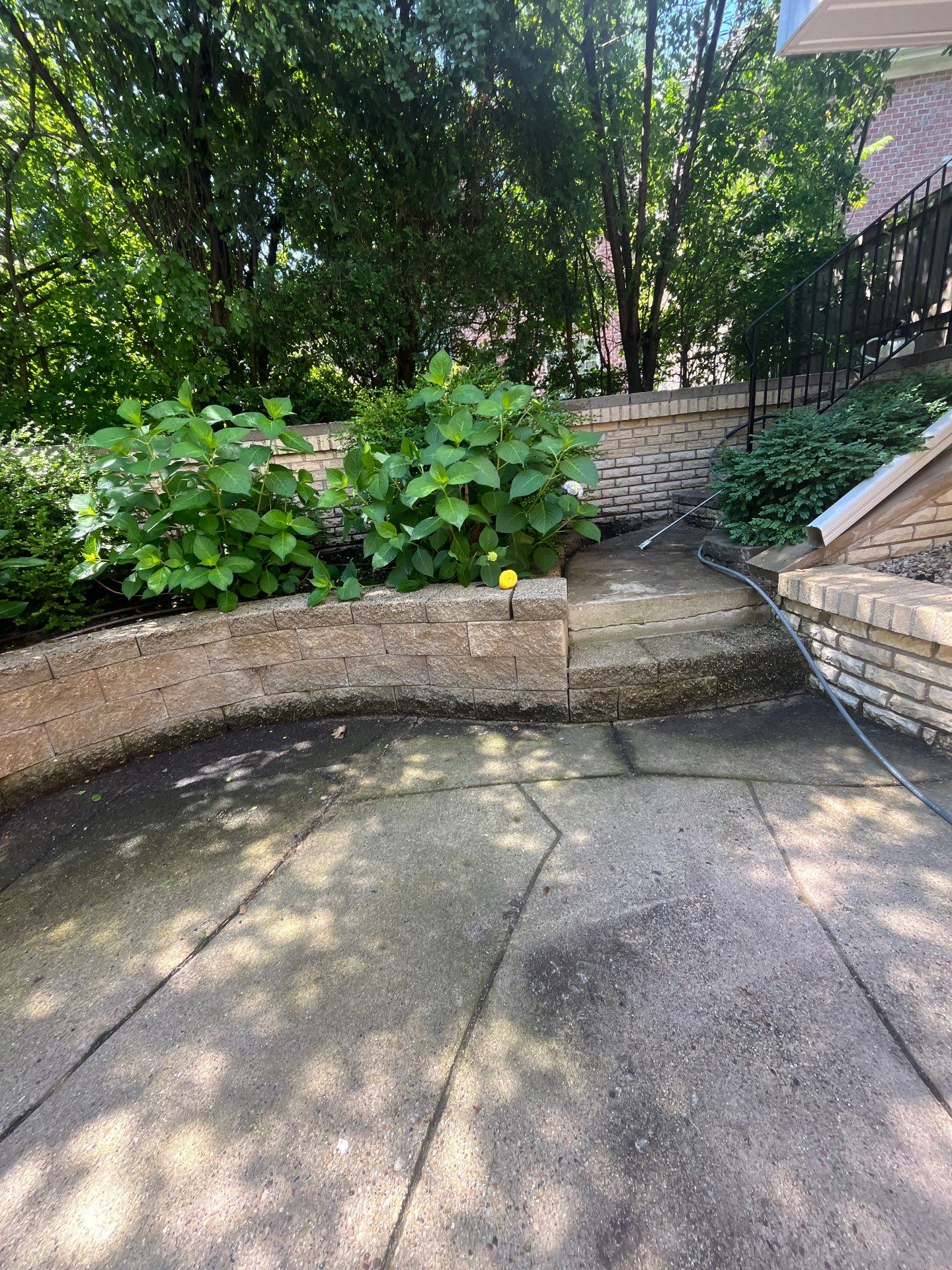 concrete power washing using Algaecide, soft wash soap by Northern Power Washing LLC.