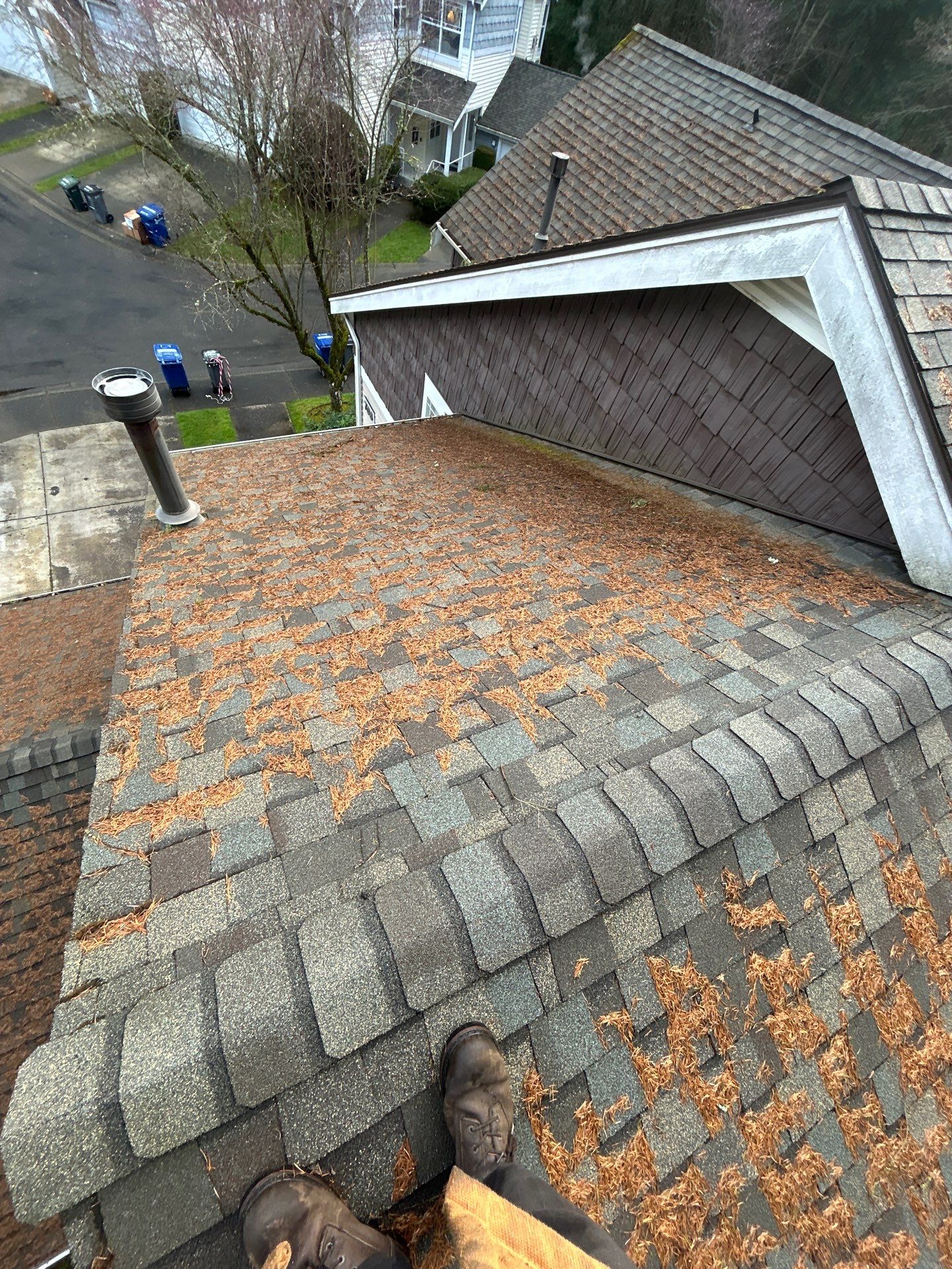 Project in Bothell by Peaks and Valleys Construction