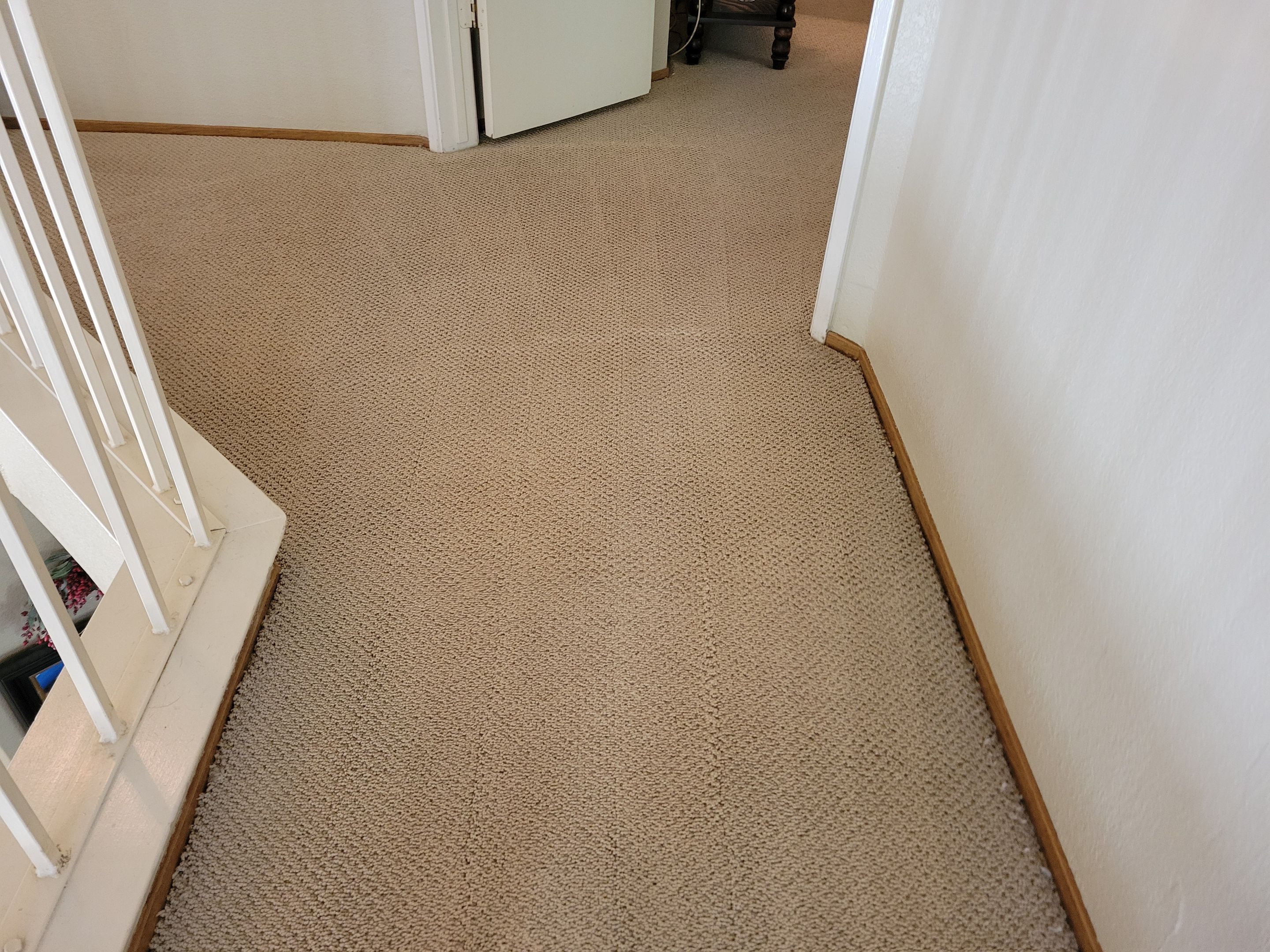 Condo, Residential Carpet Clean by Ardent Carpet Restore LLC