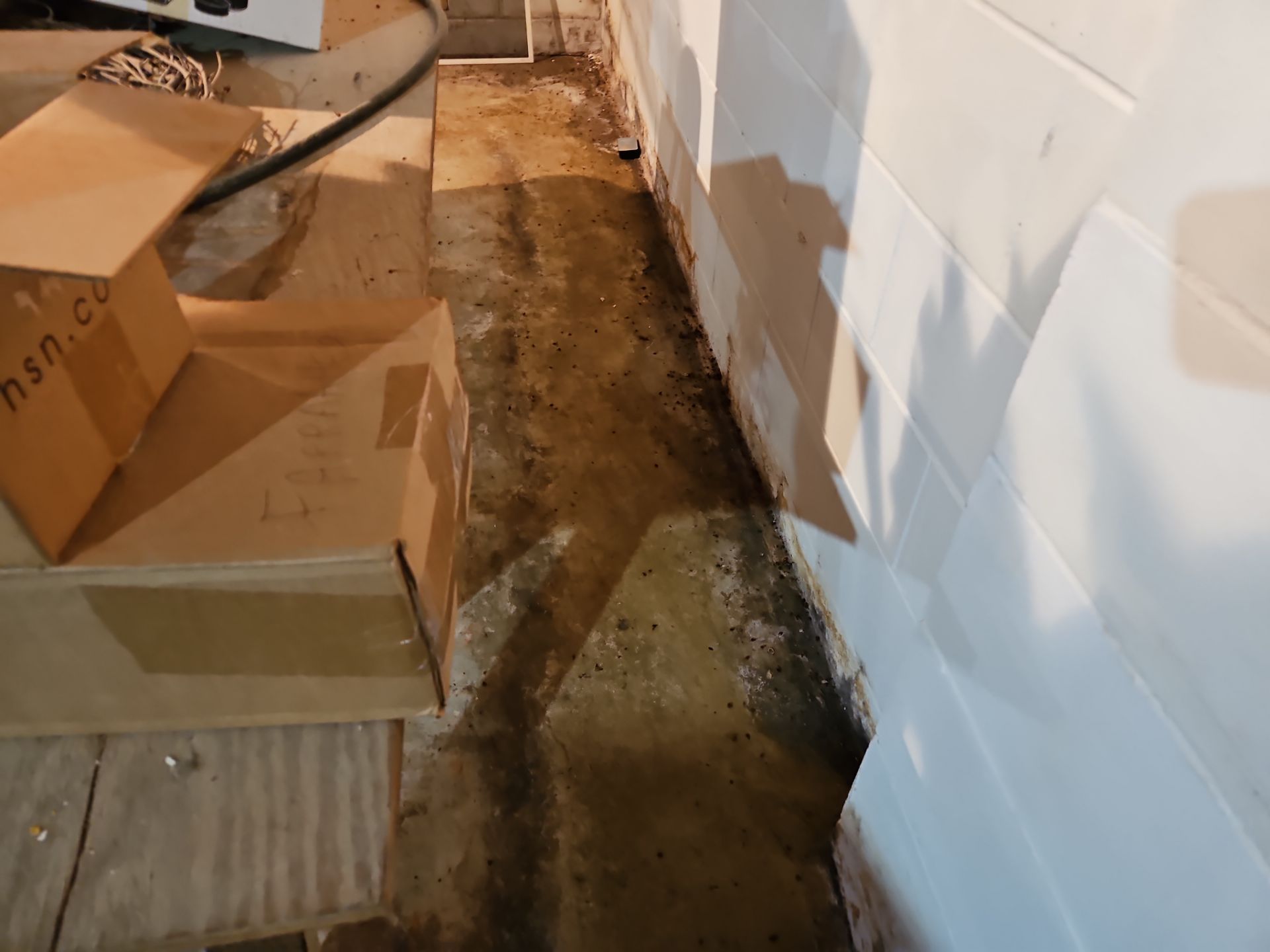 Port Byron Waterproofing/Vapor Barrier/Egress Windows by ACE Waterproofing & Basement Solutions