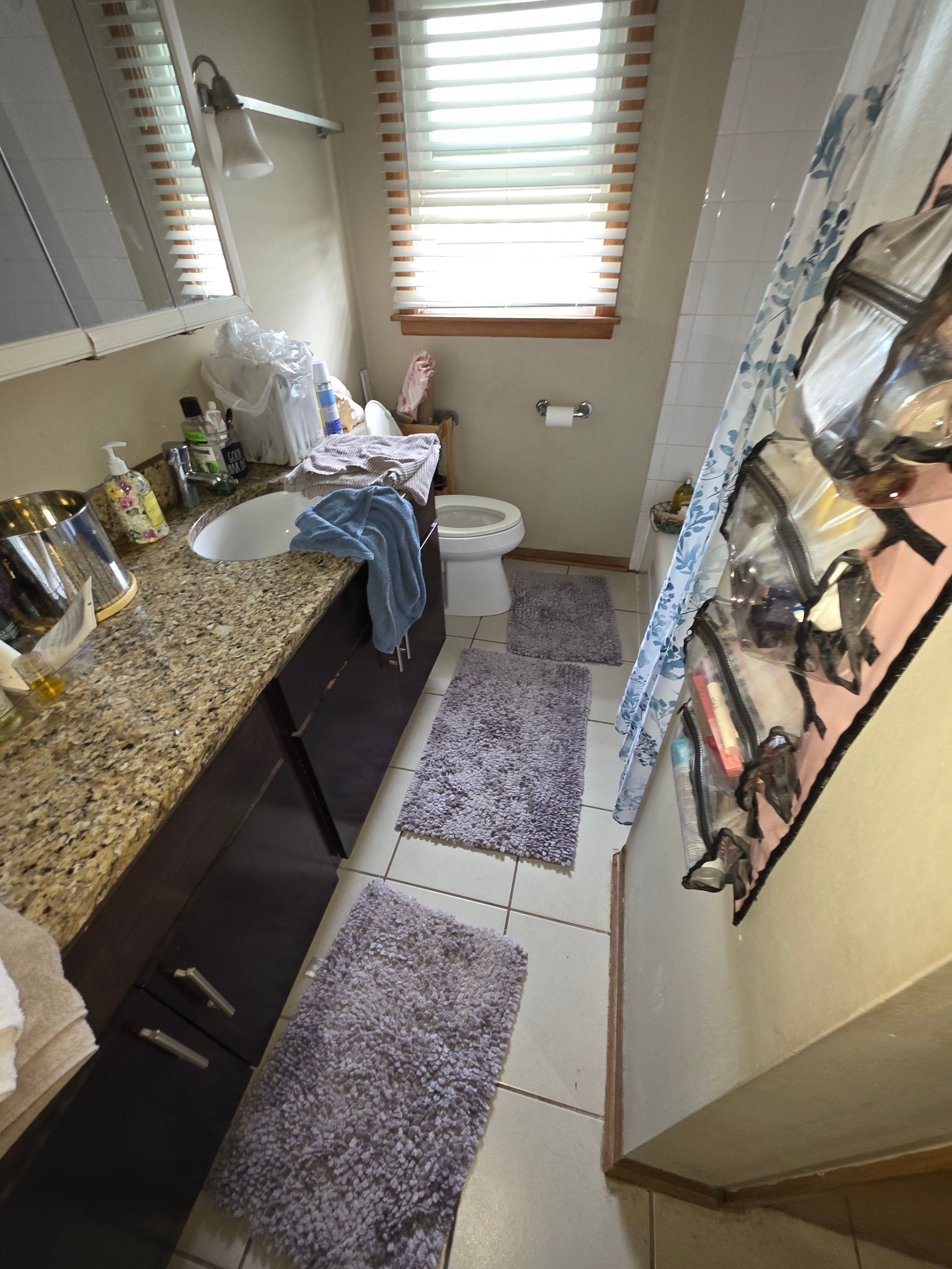 Bathroom Mold by Chicagoland Water Medics