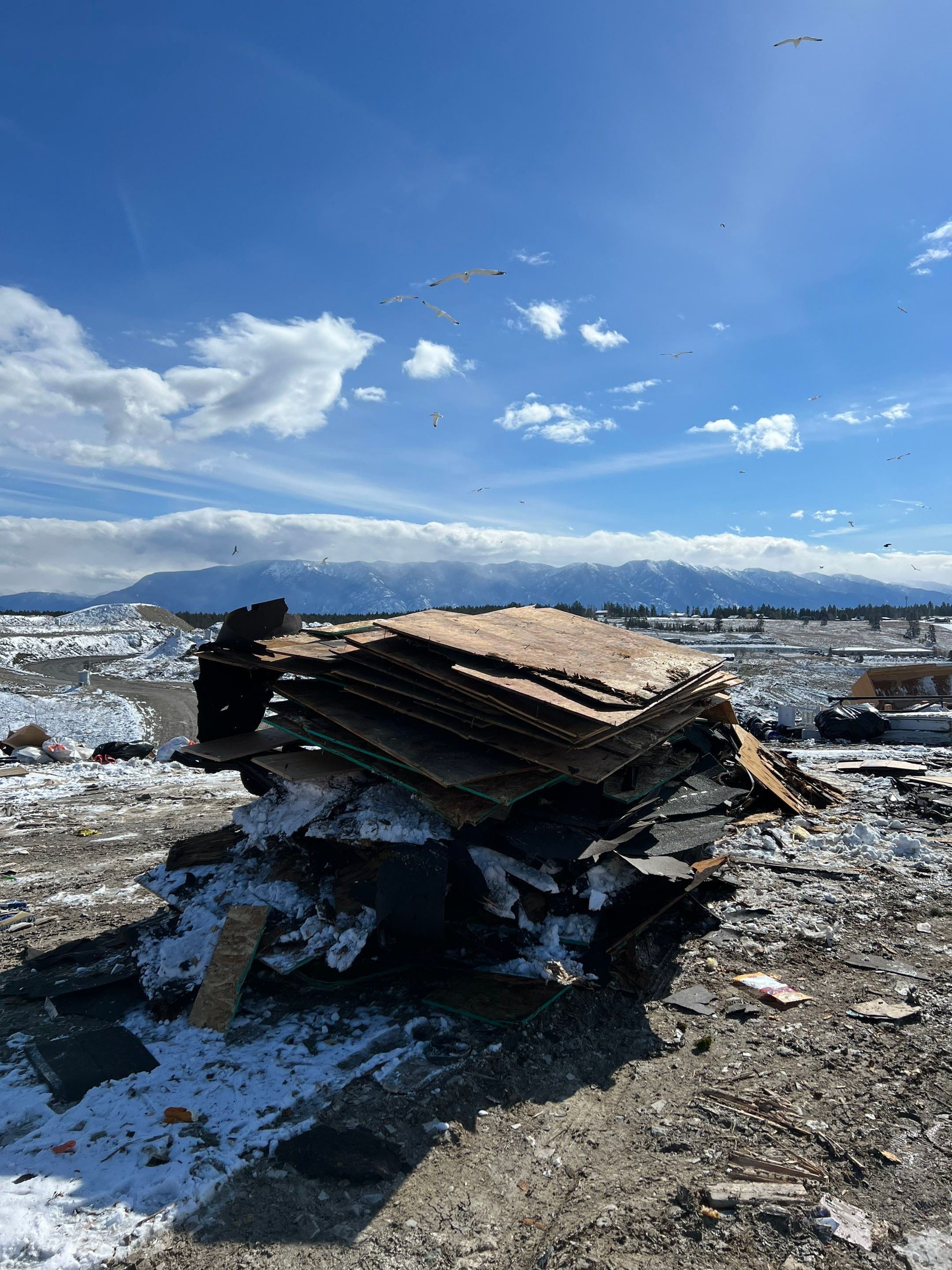 GAF Timberline HDZ - Hunter Green by Montana Roofing Solutions