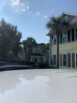 Mold Remediation plus Construction