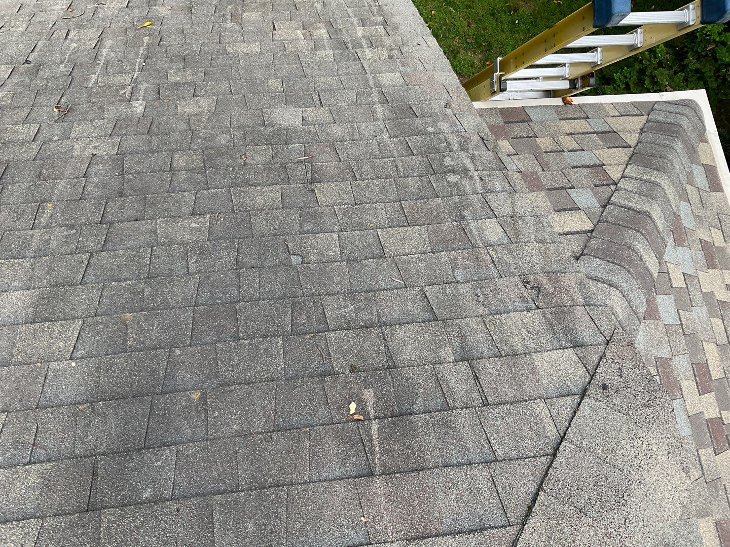 Install new shingles and new skylights  by Alpha Design Services
