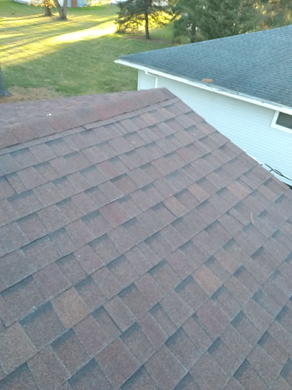 Tracy Williams by Silver Leaf Contracting 