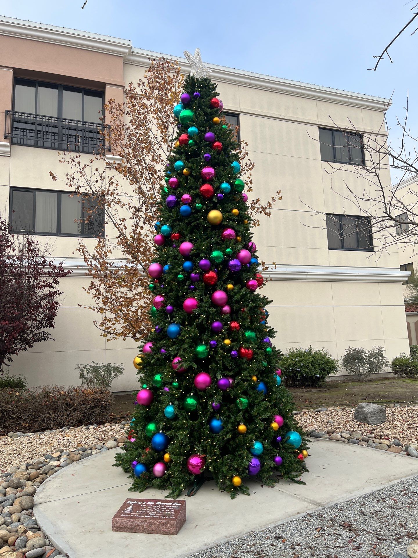 Hanford Hospital  by Kaylor Landscape inc.